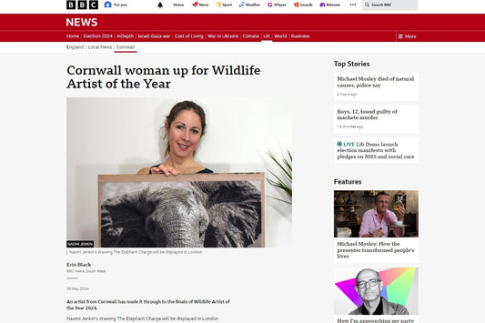 BBC News Interview with Naomi Jenkin Wildlife Artist of the Year 2024 Finalist