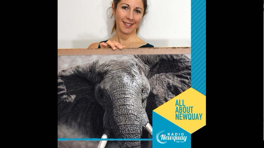 Radio Newquay Naomi Jenkin Wildlife Artist of the Year 2024 Finalist