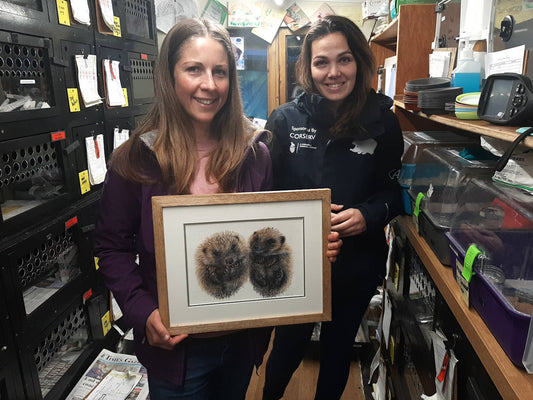 Naomi Jenkin Art at Prickles and Paws Hedgehog Rescue