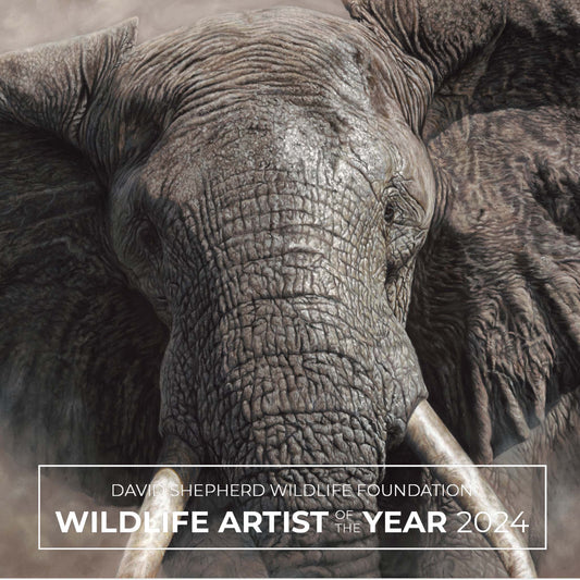 "The Elephant Charge" - elephant painting by Wildlife Artist of the Year 2024 finalist Naomi Jenkin.