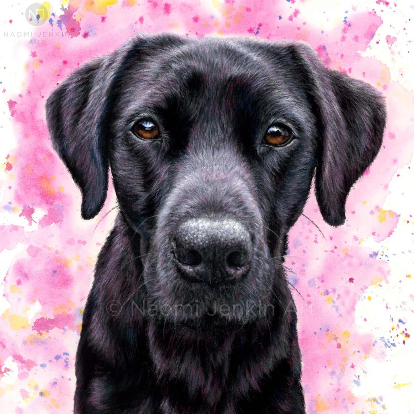 Dog greeting card of a black Labrador from Naomi Jenkin Art.