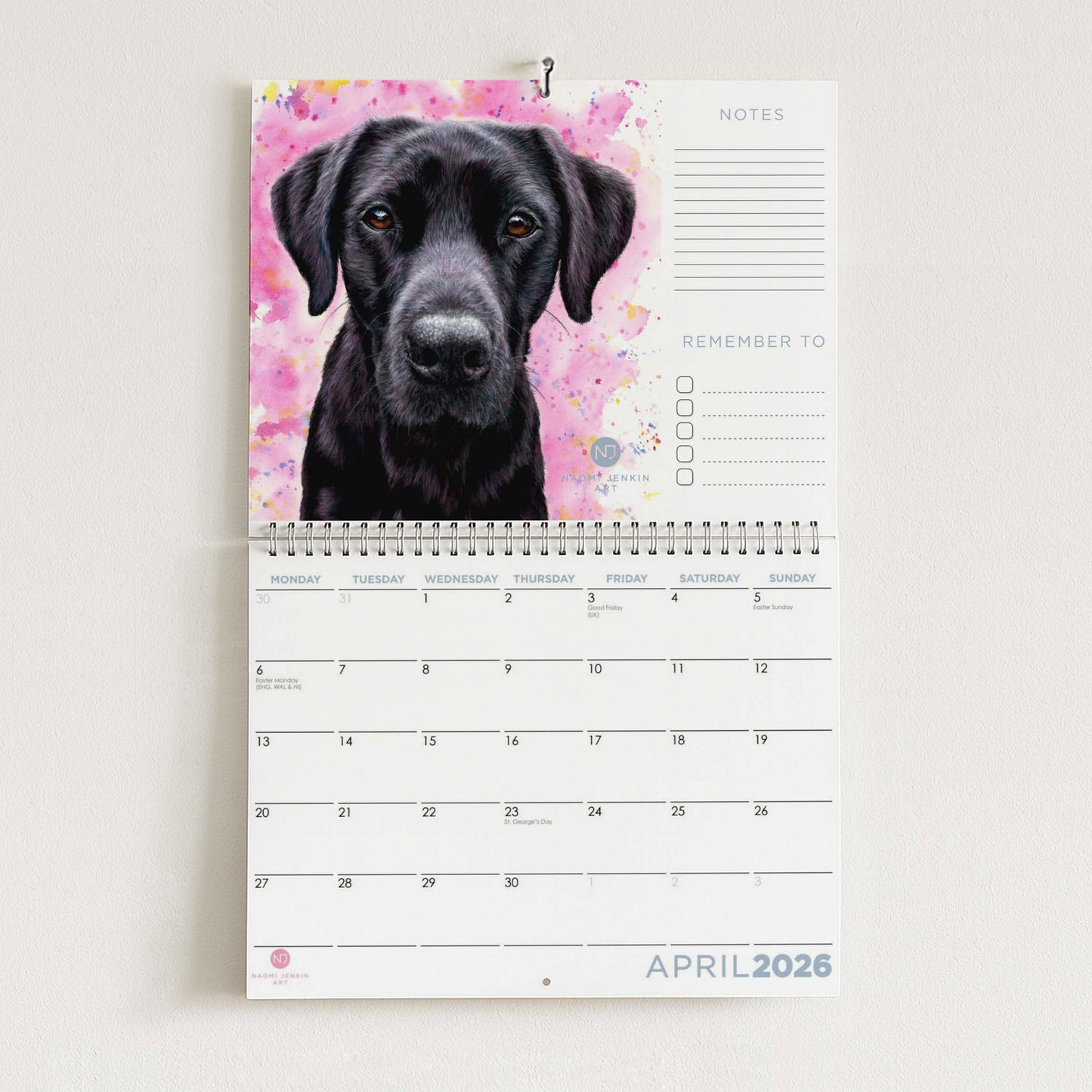 2026 Calendar with a black Labrador dog on a pink background - Naomi Jenkin Art