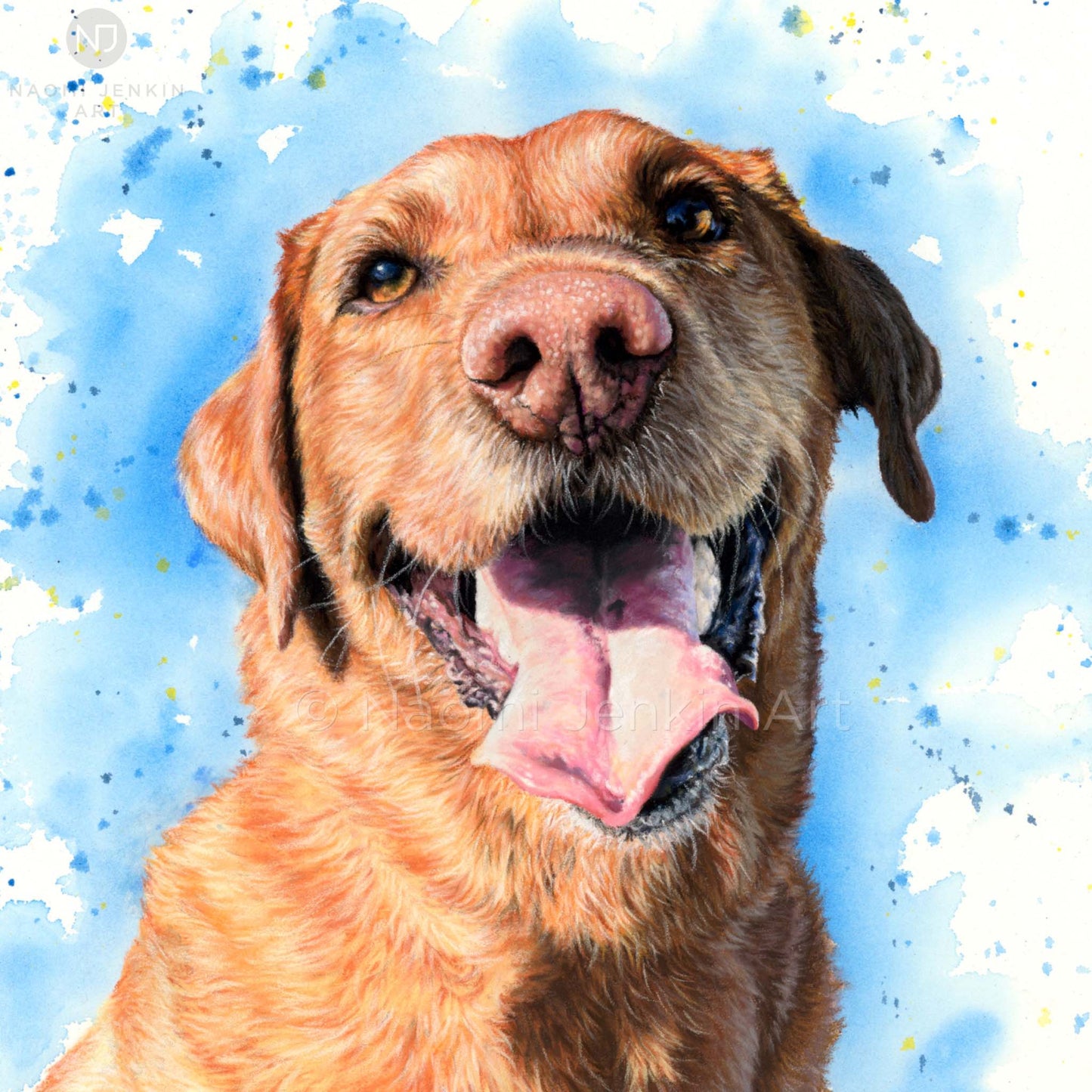 Dog greeting card of a fox red Labrador from Naomi Jenkin Art.