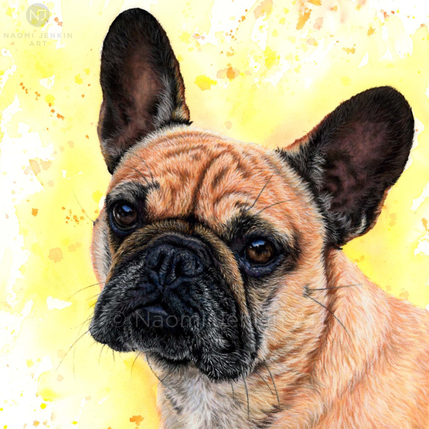 Dog greeting card of a French Bulldog from Naomi Jenkin Art.