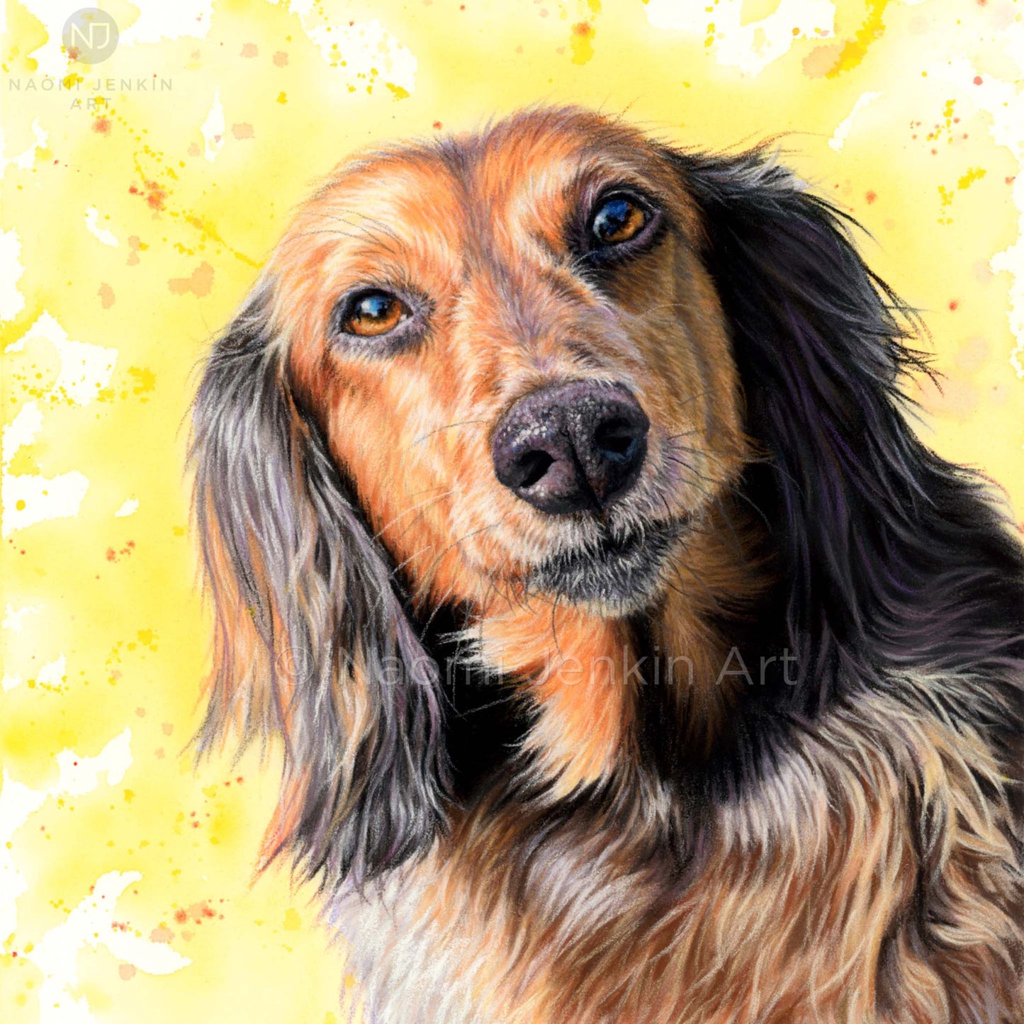Dog greeting card of a long haired Dachshund from Naomi Jenkin Art.