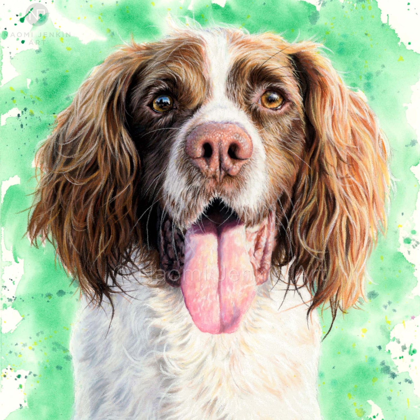 Dog greeting card of a Springer Spaniel from Naomi Jenkin Art.