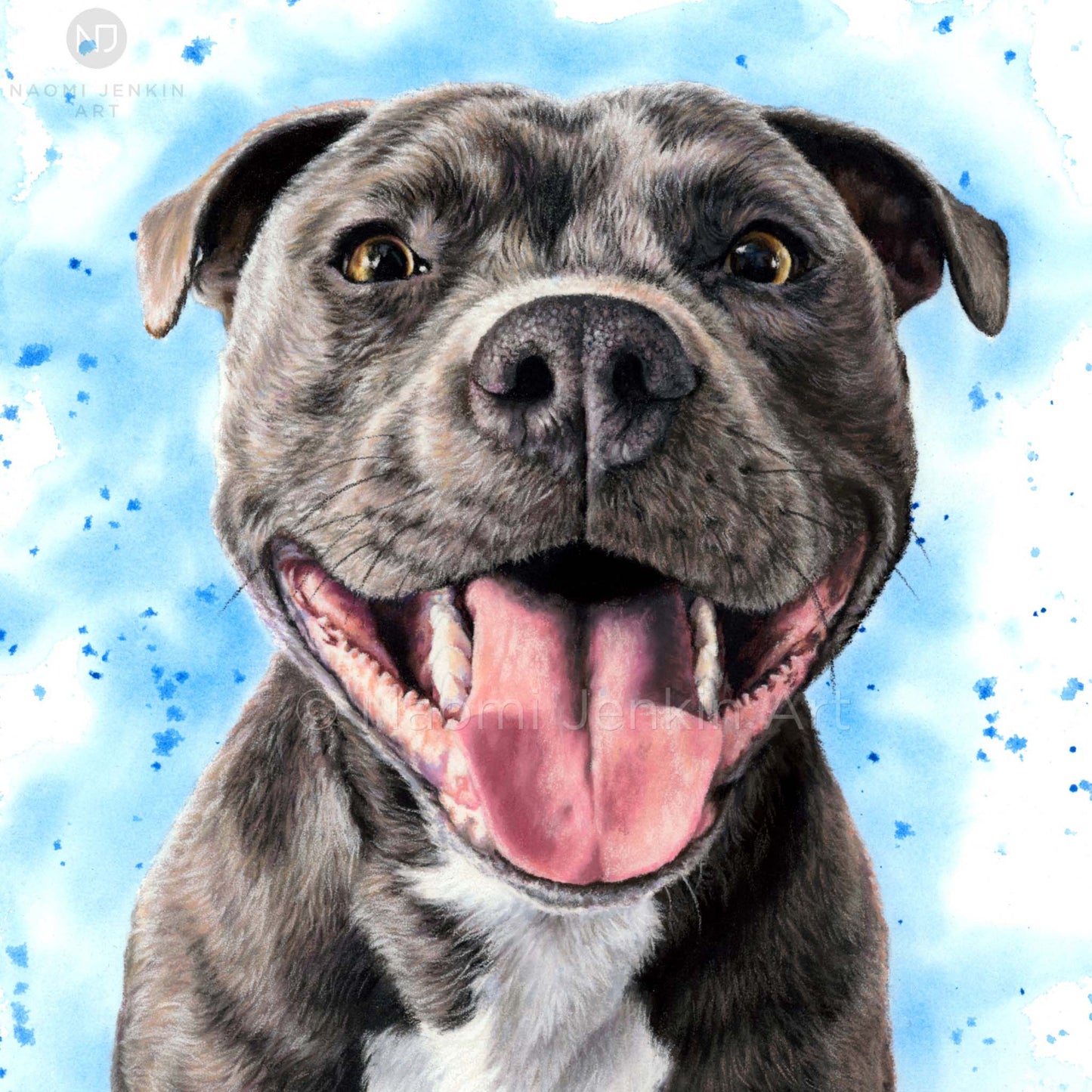 Dog greeting card of a Staffy from Naomi Jenkin Art.