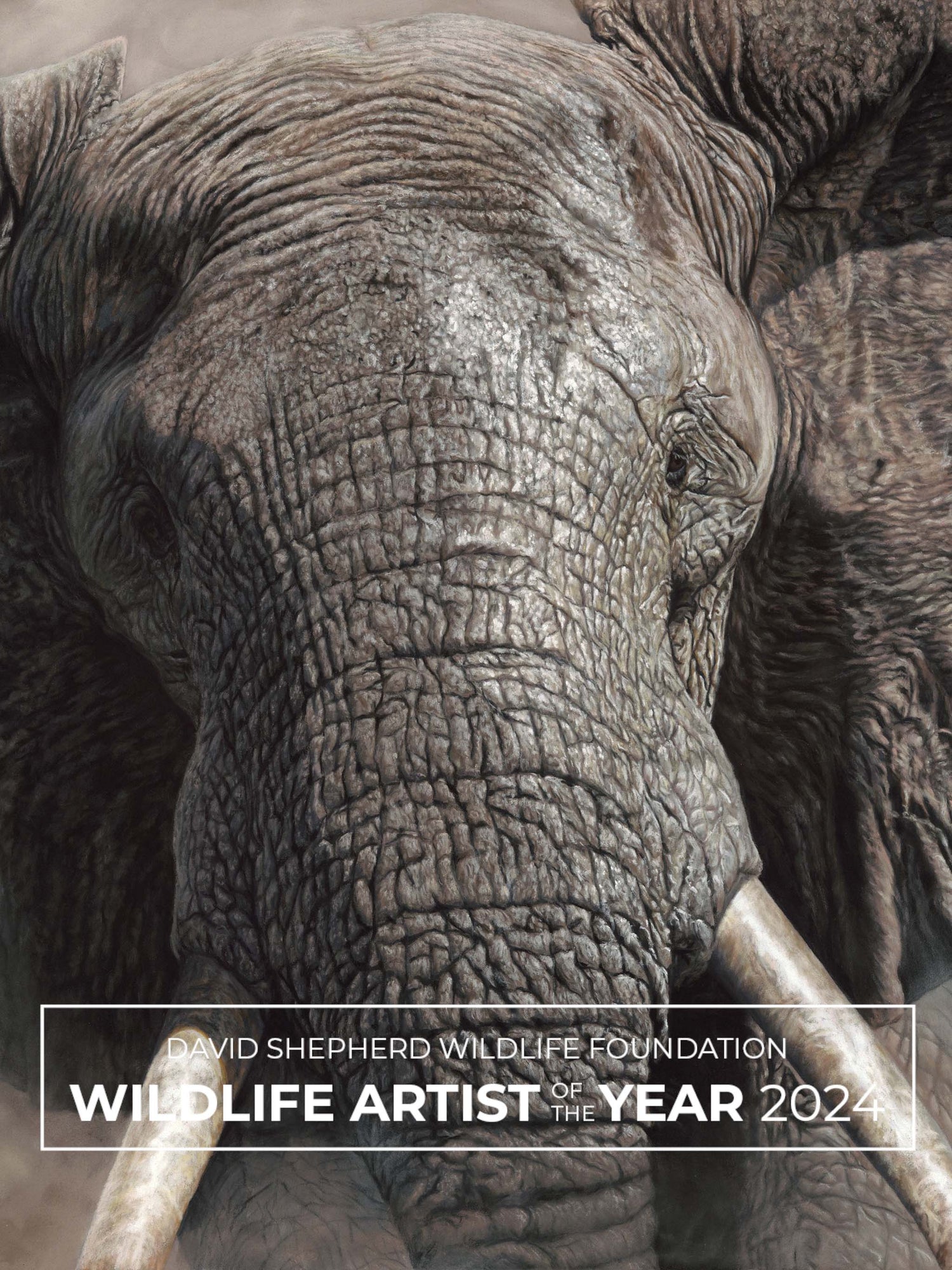Wildlife Artist of the Year 2024 finalist Naomi Jenkin