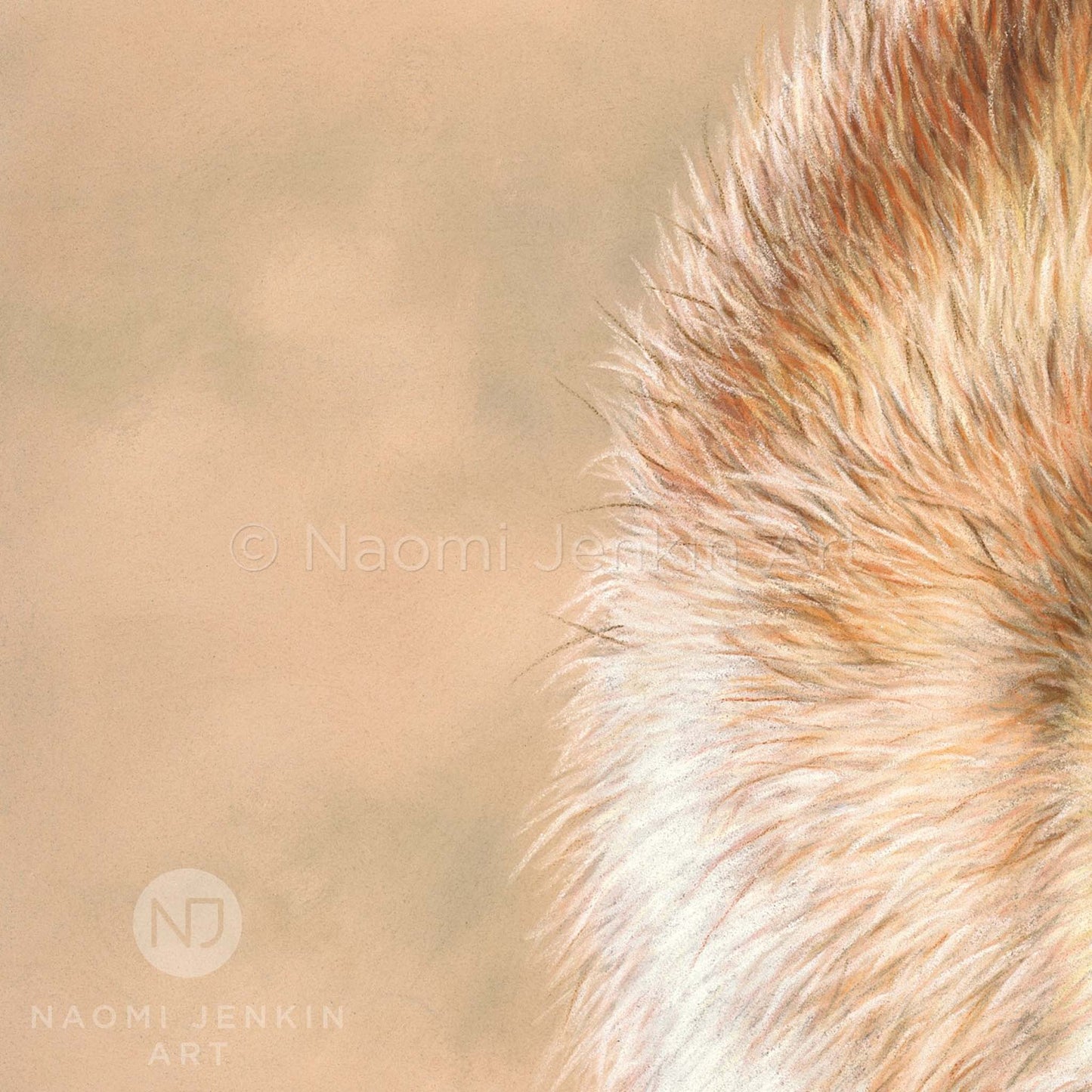 Close up detail of an original fox drawing by wildlife artist Naomi Jenkin
