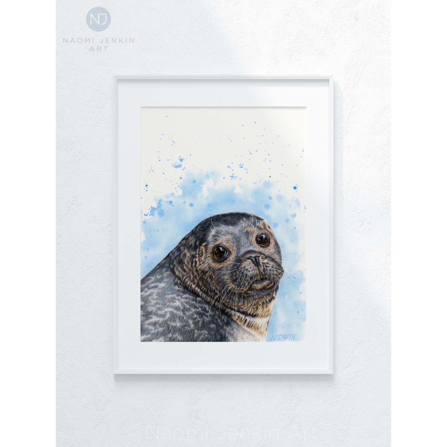 Framed original grey seal drawing by Naomi Jenkin Art.