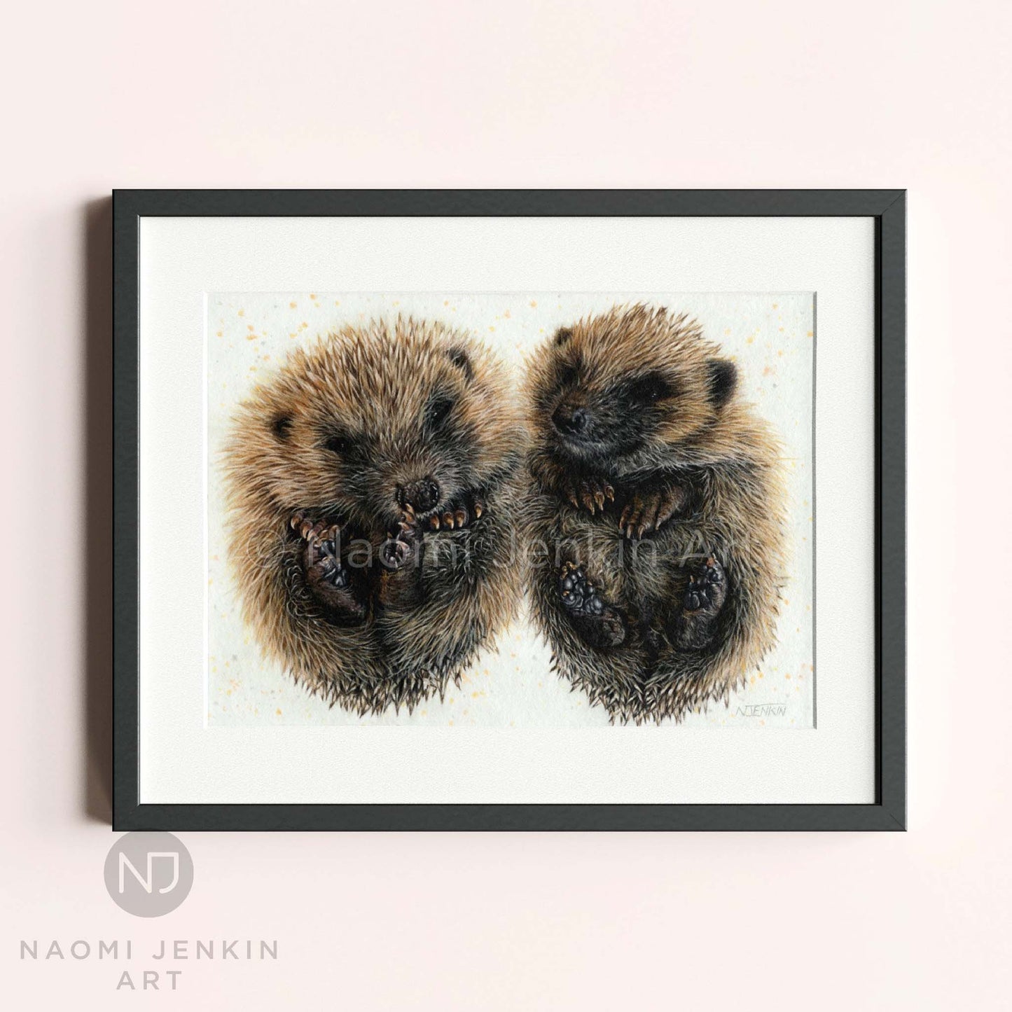 Hedgehog original painting by Naomi Jenkin Art in a black frame