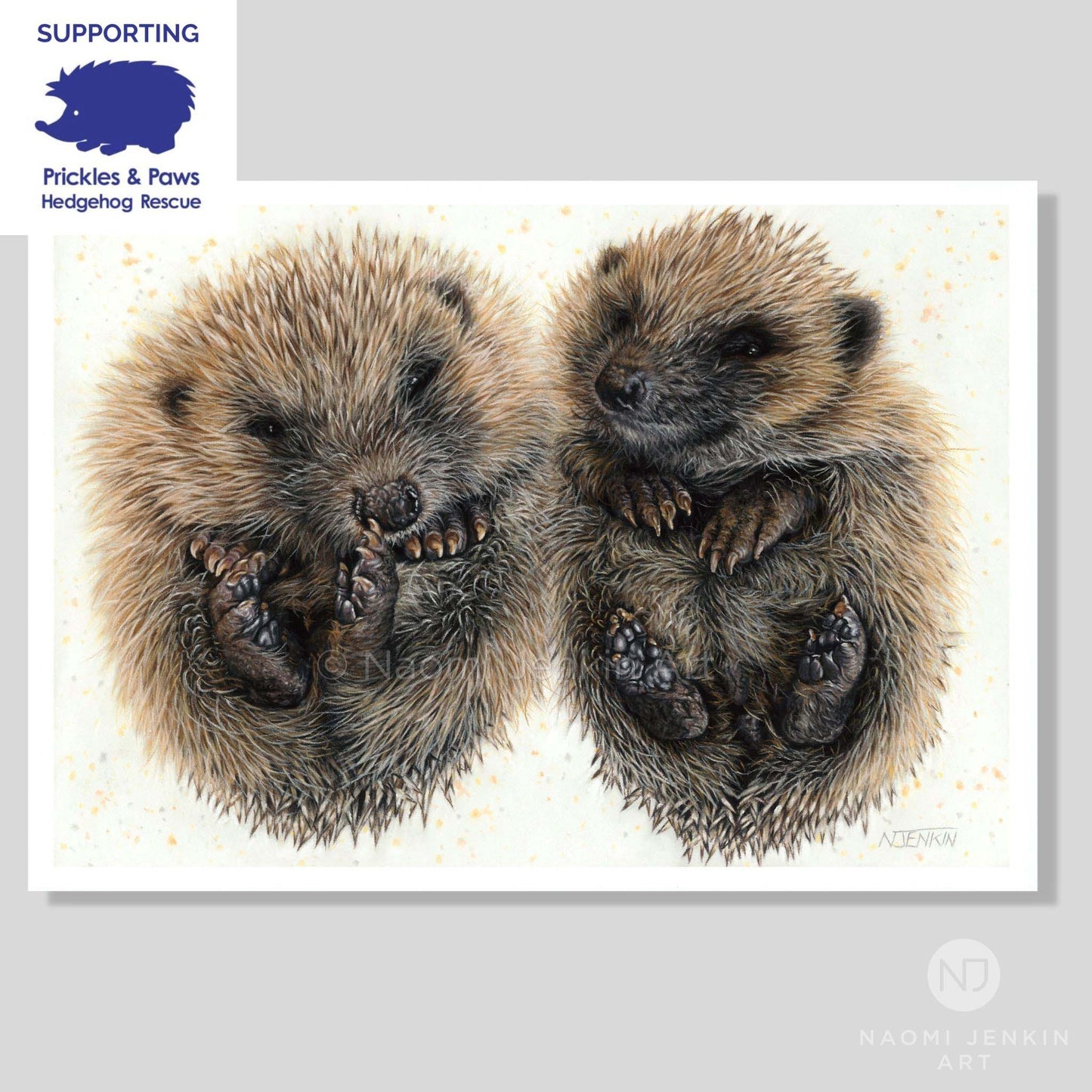 Hedgehog art print by Naomi Jenkin Art in support of Prickles and Paws Hedgehog Rescue.