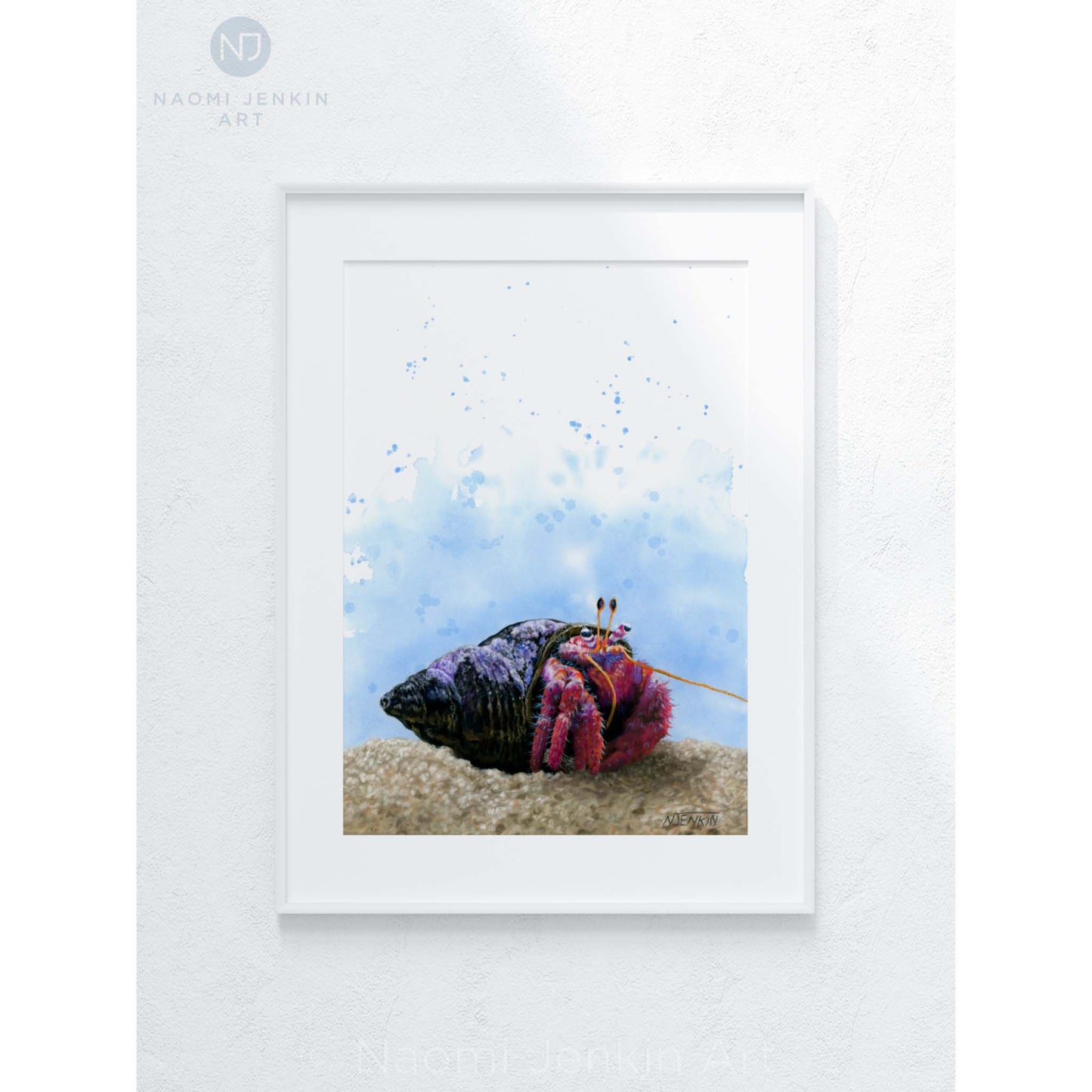 Framed original hermit crab drawing by Naomi Jenkin Art.