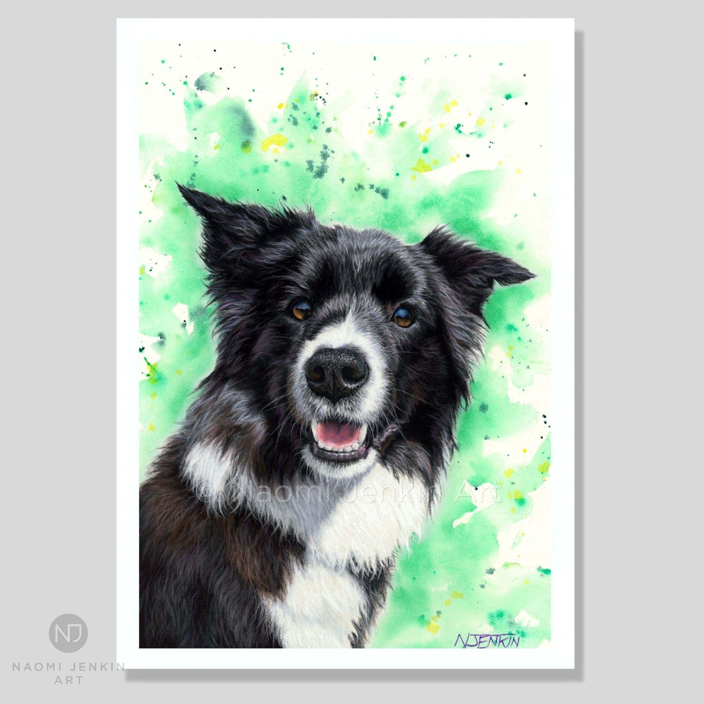 Border collie dog art print from an original artwork by Naomi Jenkin.