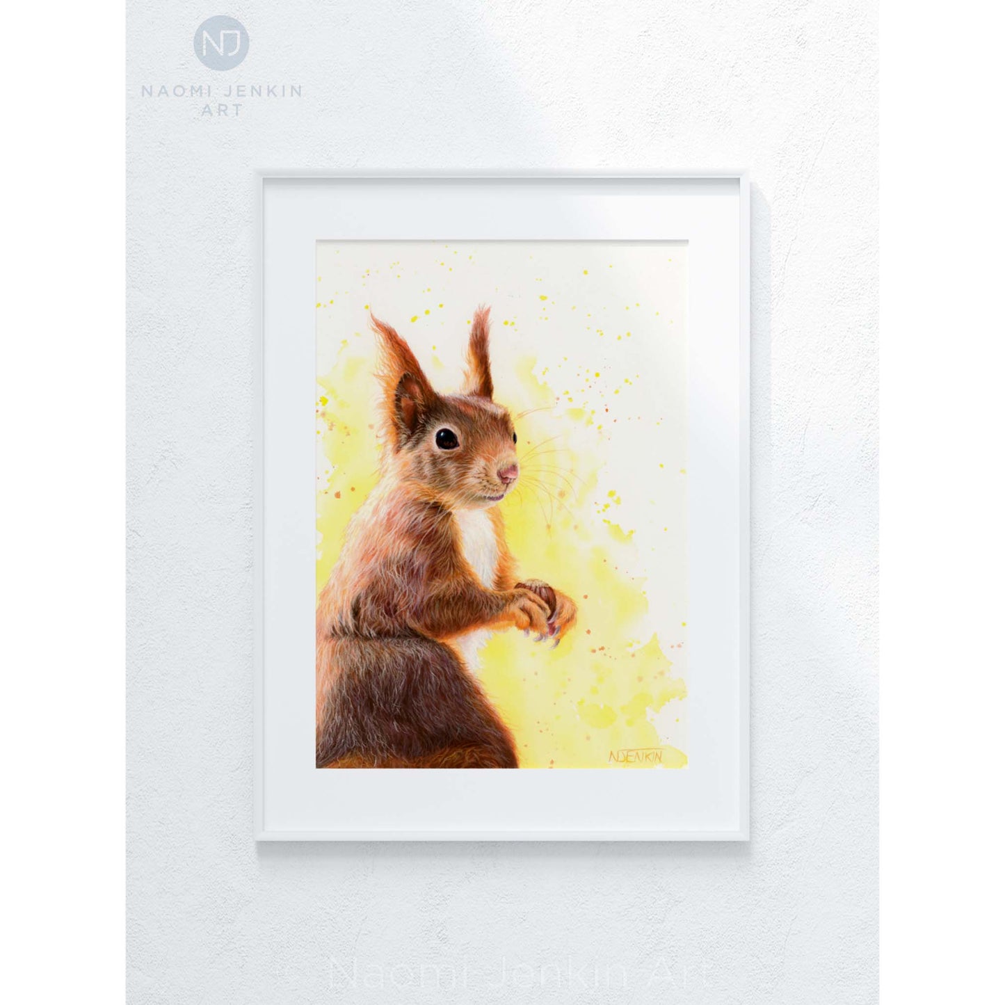 Framed original red squirrel drawing by Naomi Jenkin Art.