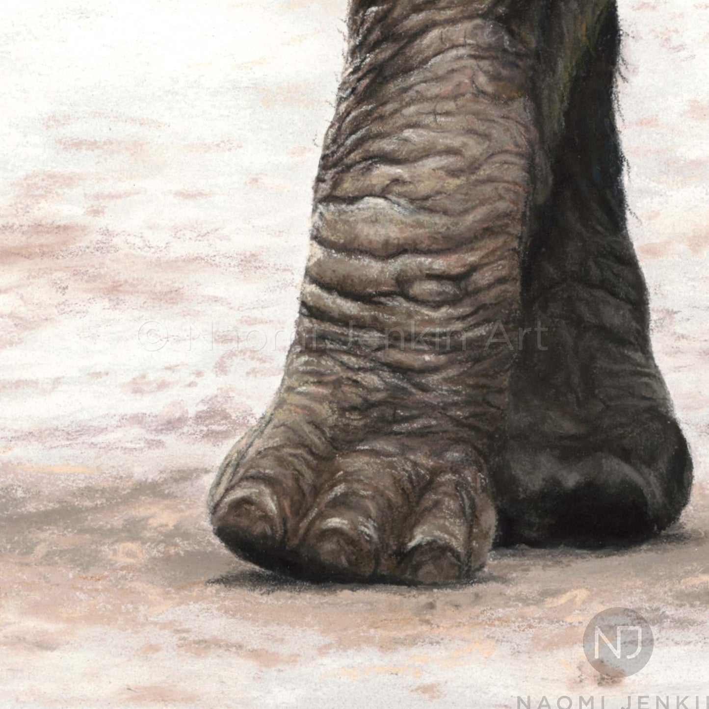 Close up elephant foot drawing from the print 'Shake It Off' by Naomi Jenkin