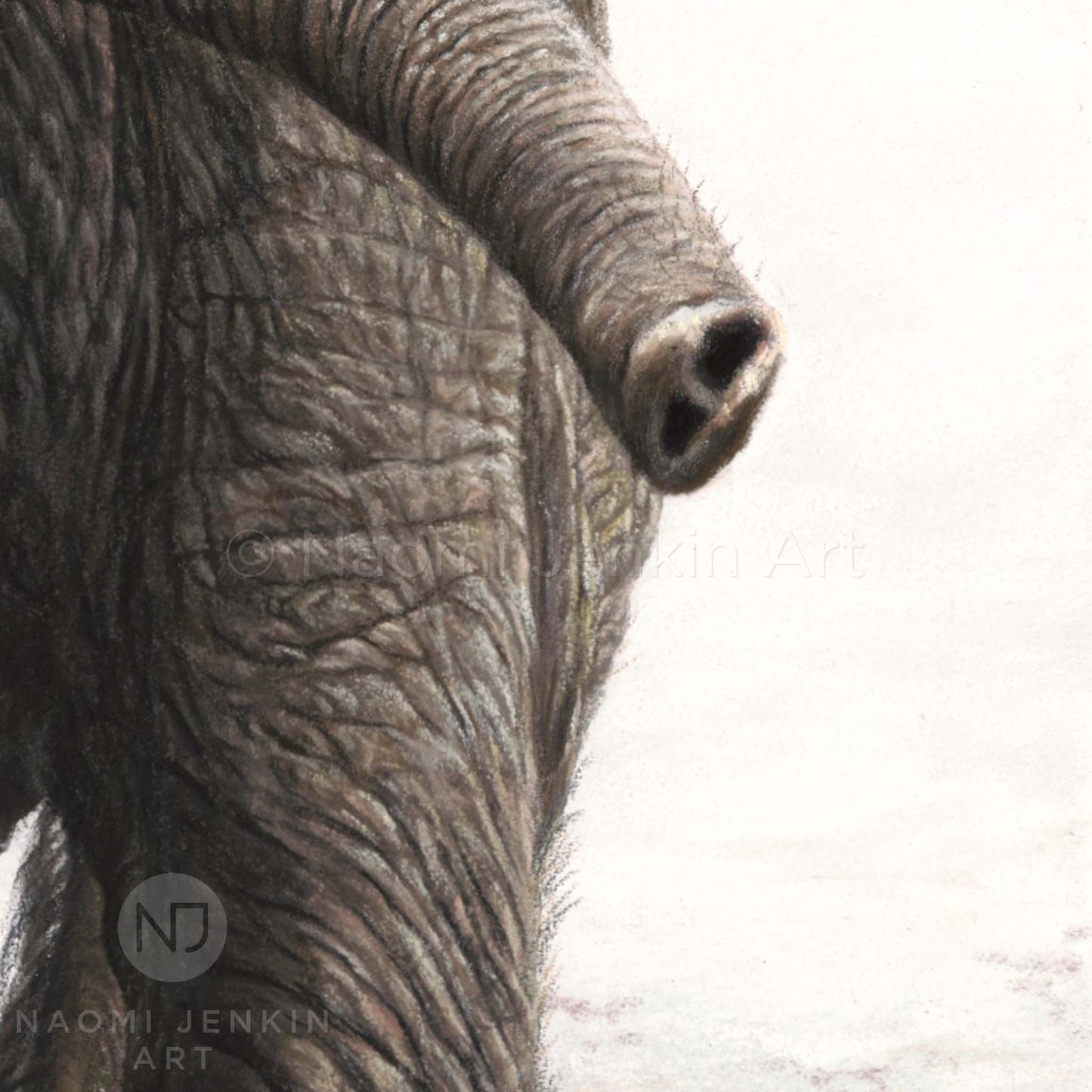 Elephant painting trunk close up from the original artwork 'Shake It Off' by Naomi Jenkin