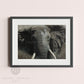 Framed African elephant art print by Naomi Jenkin Art