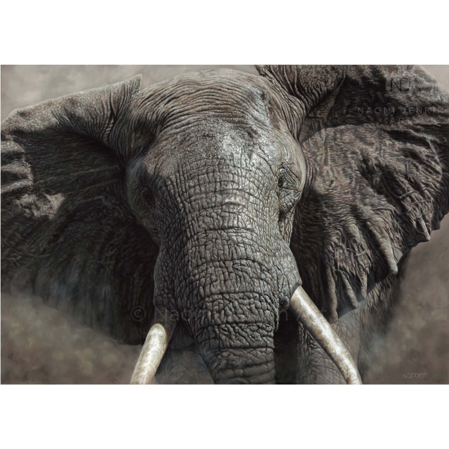 African elephant art print by wildlife artist Naomi Jenkin