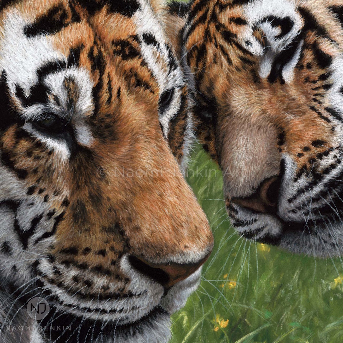 Detailed close up of a tiger painting "Allegiance" by wildlife artist Naomi Jenkin