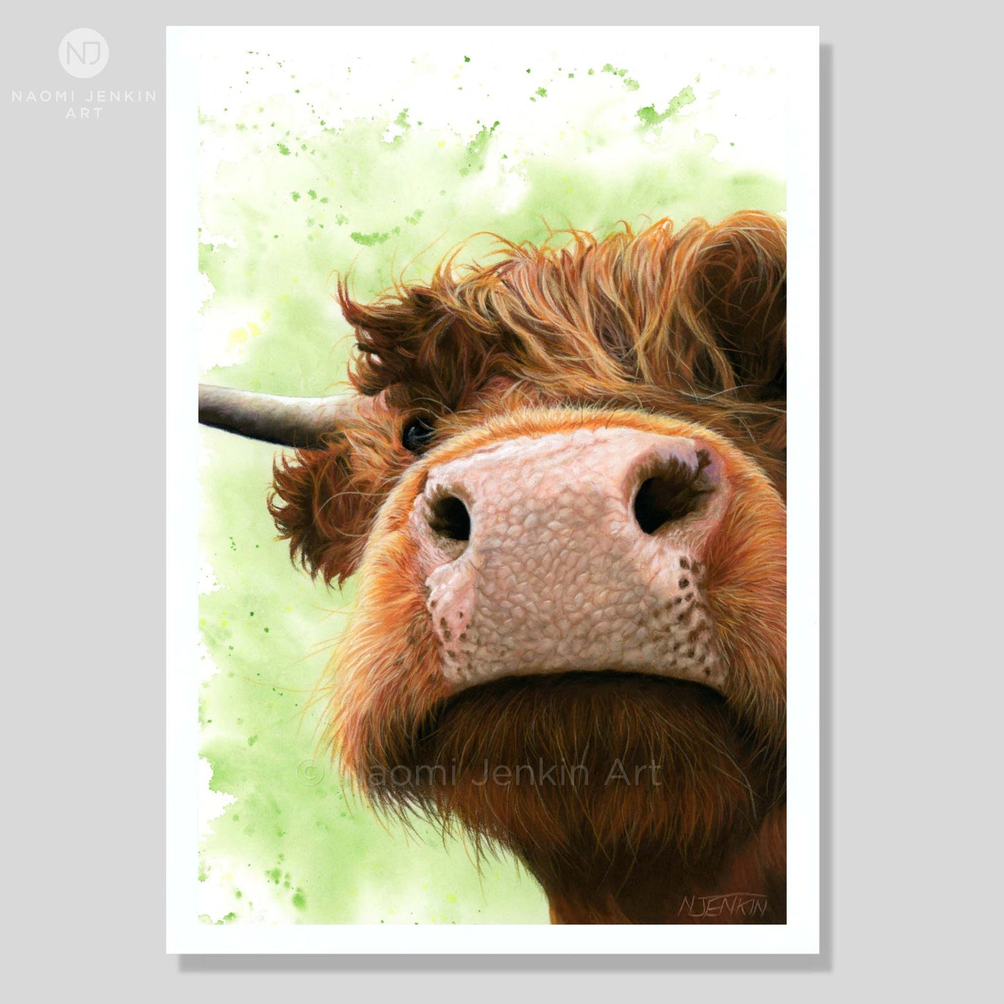Art print of a highland cow drawing with a light green background by Naomi Jenkin Art.