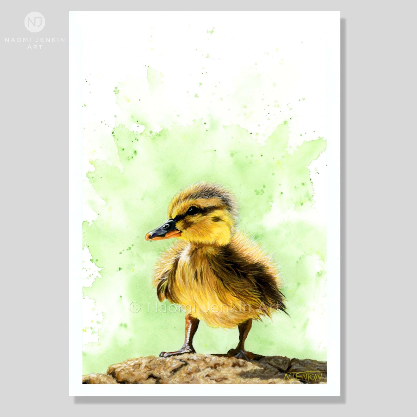 Art print of a duckling drawing with a green painted background by Naomi Jenkin Art.