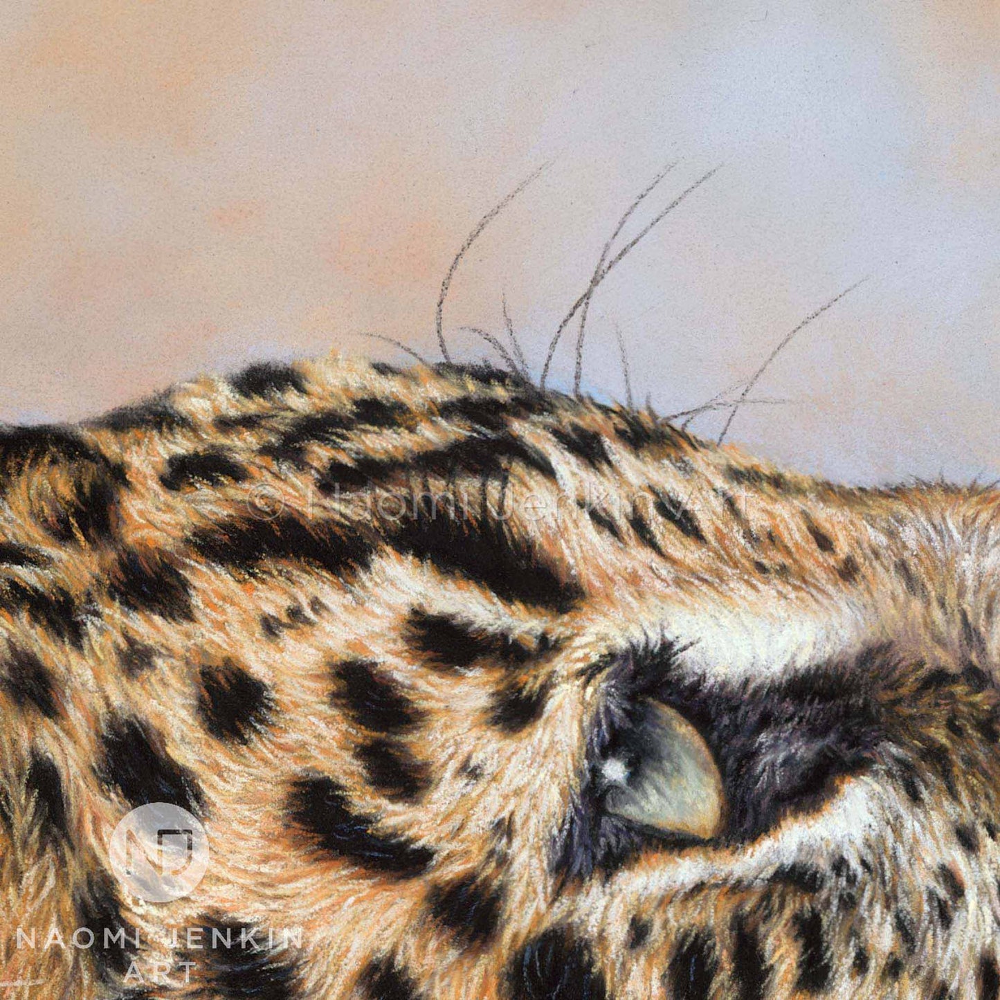 Close up drawing of a leopard's eye by wildlife artist Naomi Jenkin as part of the 'Eye to Eye' print