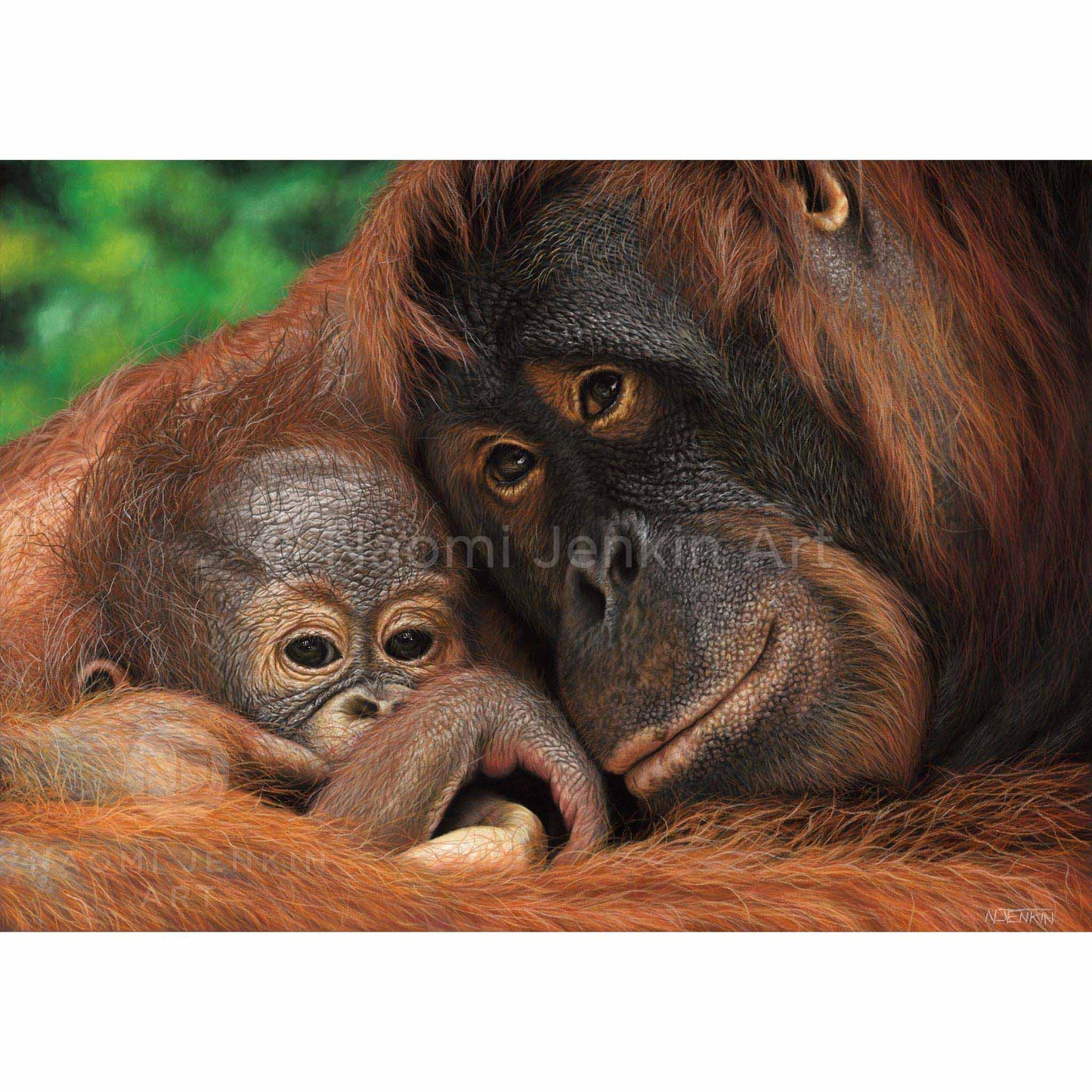 Original orangutan painting by wildlife artist Naomi Jenkin