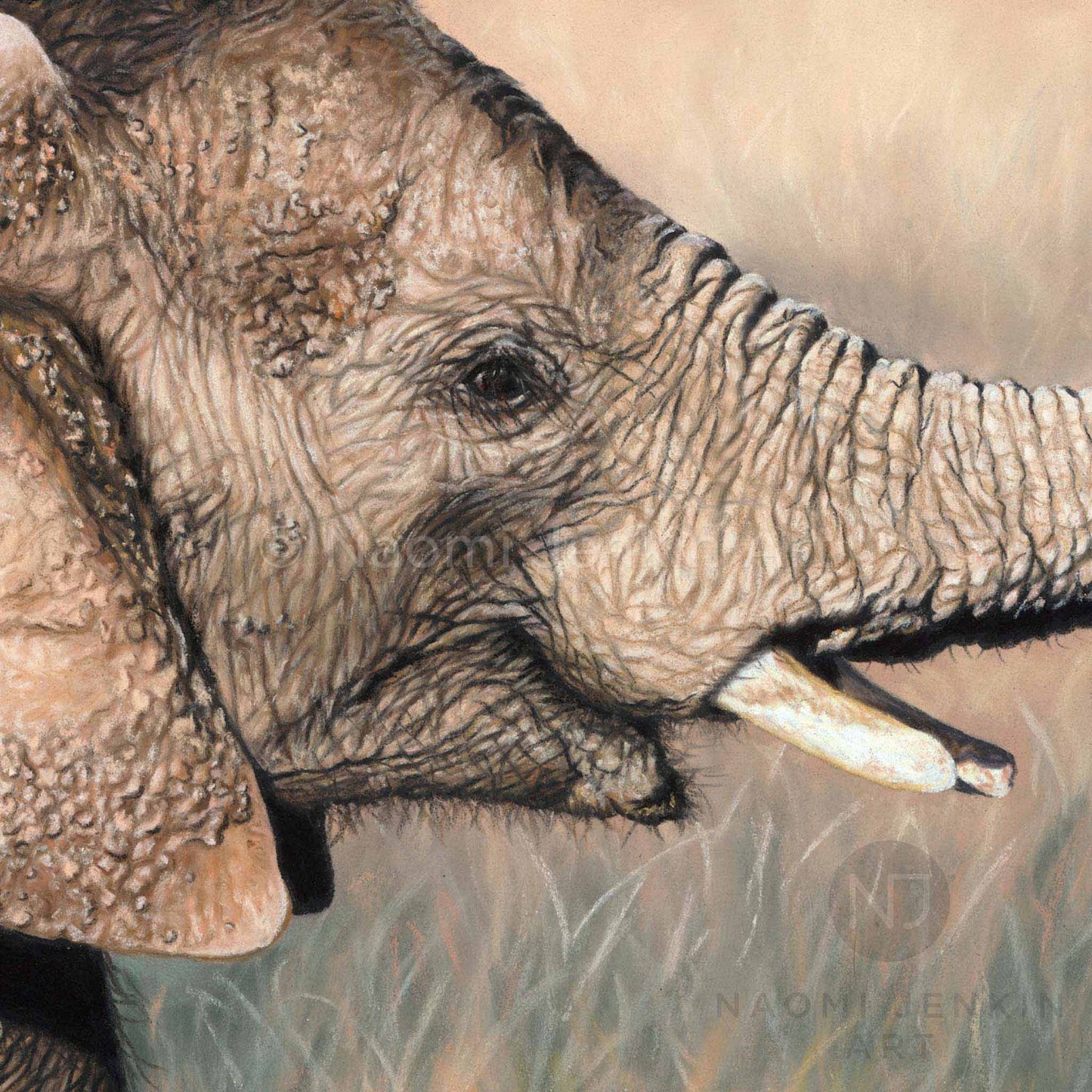 Elephant face and tusk close up from the original 'Little and Large' painting by Naomi Jenkin