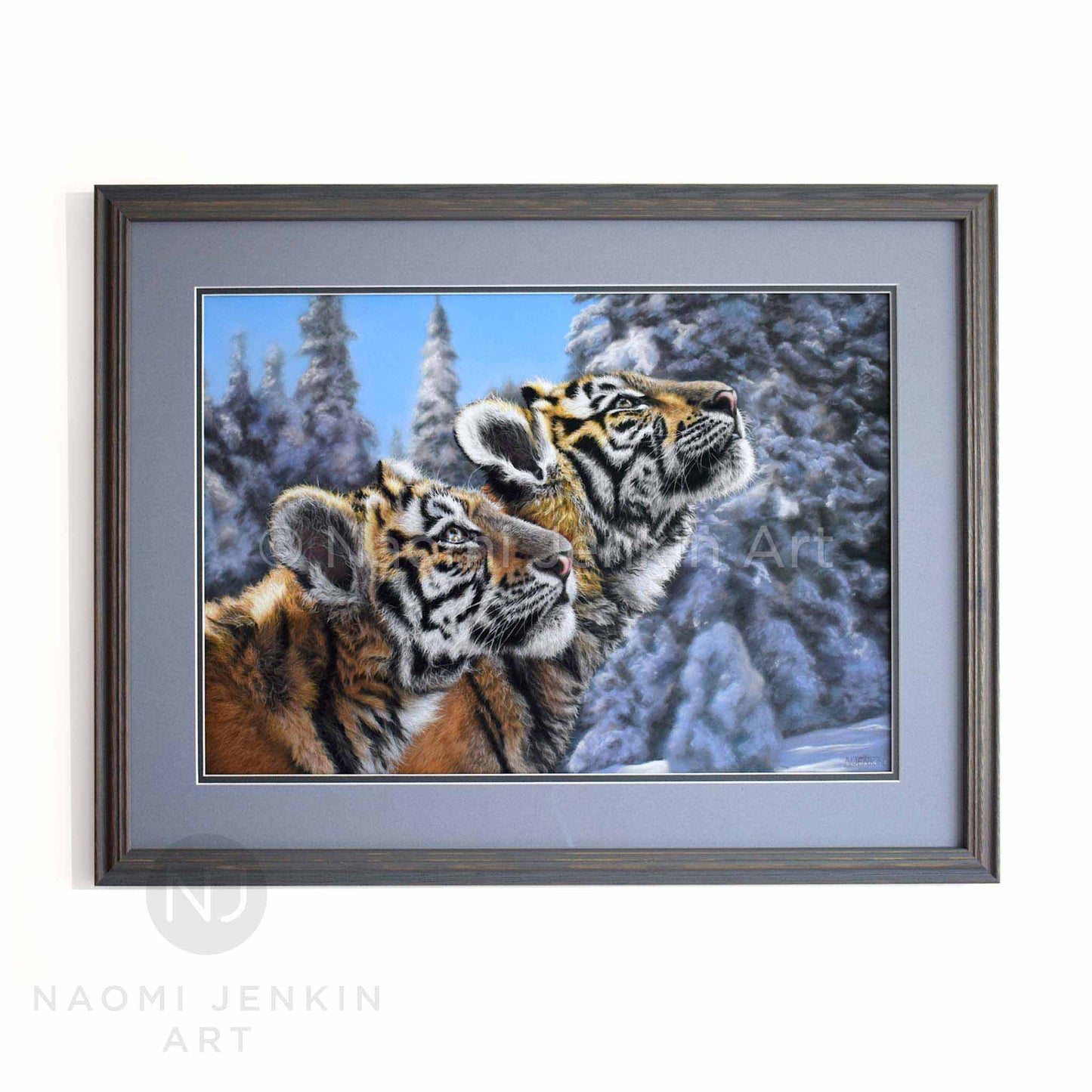 Framed original tiger painting by wildlife artist Naomi Jenkin