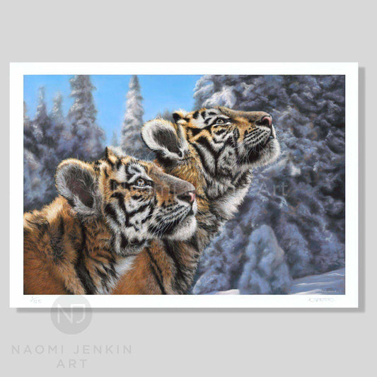 Tiger art print produced from an original pastel painting featuring two Amur tigers