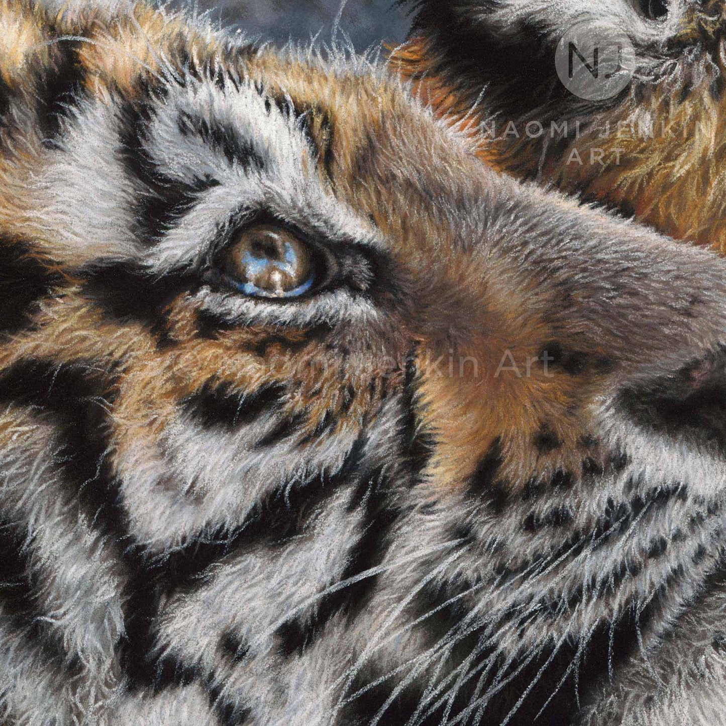 Close up tiger face from the original 'Tigers of the Taiga' wildlife painting by Naomi Jenkin Art