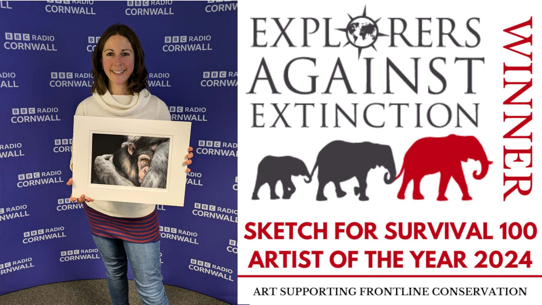 BBC Radio Interview with Naomi Jenkin Winner of Sketch For Survival 2024