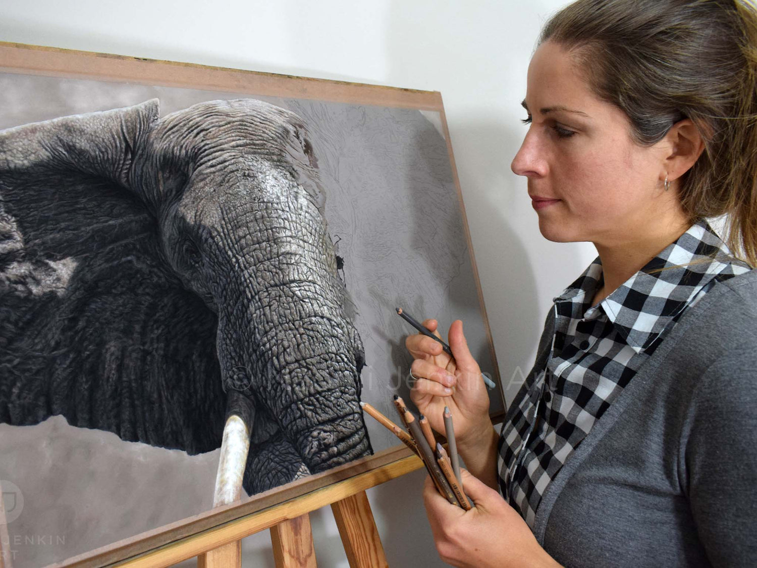 Wildlife artist Naomi Jenkin drawing original elephant art 'The Elephant Charge' in pastels