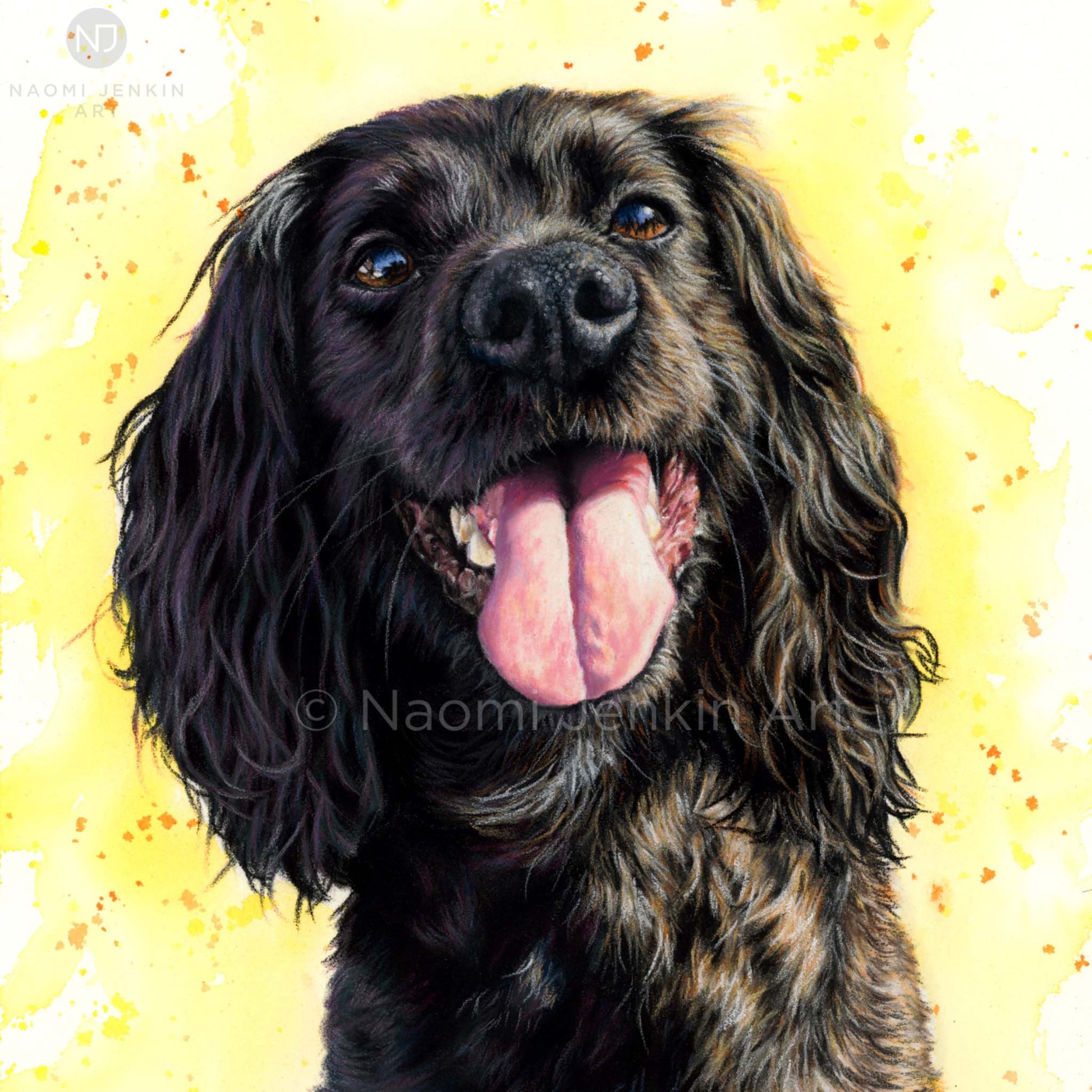 Dog greeting card of a black working Cocker Spaniel from Naomi Jenkin Art. 