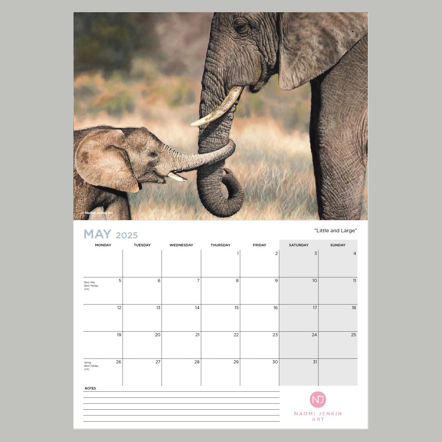 Naomi Jenkin Art Wildlife Art Calendar 2025 May
