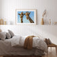 Framed giraffe art print in a bedroom setting by wildlife artist Naomi Jenkin 