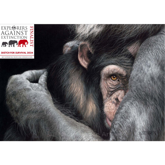 Chimpanzee drawing "Embrace" by Naomi Jenkin Art. Sketch For Survival 2024 Finalist - Explorers Against Extinction