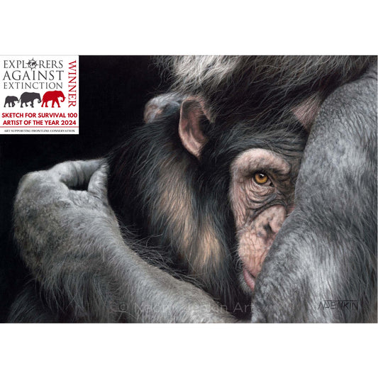 Chimpanzee drawing "Embrace" by Naomi Jenkin Art. Sketch For Survival 2024 Winner - Explorers Against Extinction