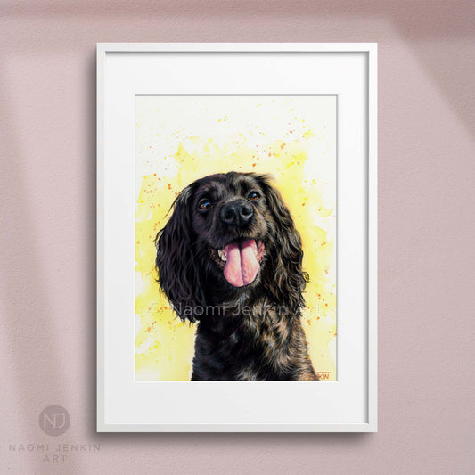Framed dog art print of a black working Cocker Spaniel from Naomi Jenkin Art. 