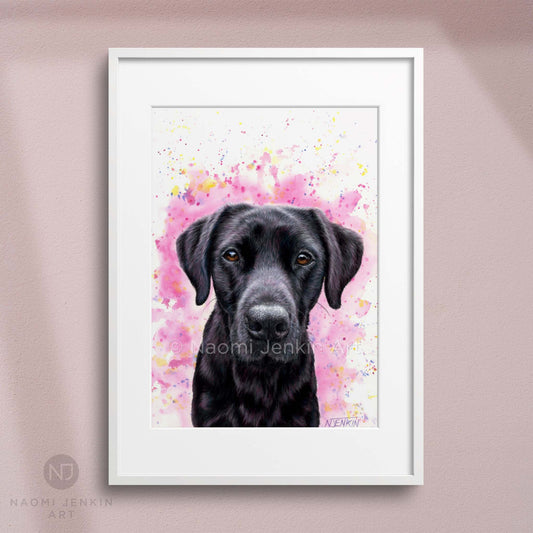 Framed dog art print of a black Labrador from Naomi Jenkin Art. 