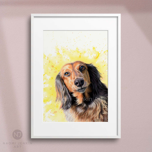 Framed dog art print of a long haired dachshund sausage dog from Naomi Jenkin Art. 