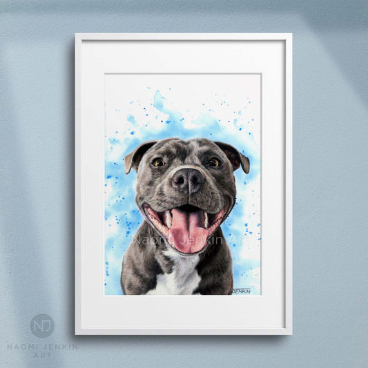 Framed dog art print of a Staffy from Naomi Jenkin Art. 