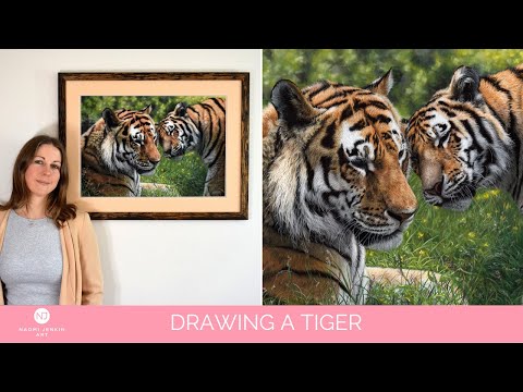 Realistic tiger painting "Allegiance" being drawn in pastels by wildlife artist Naomi Jenkin. 