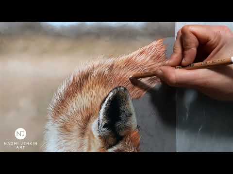 Naomi Jenkin's video of 'Heart to Heart Red Fox Painting' drawing process