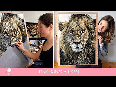 See wildlife artist Naomi Jenkin create her original lion drawing "Warrior" in pastels.