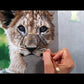 “Lyin' Around” - Lion Painting