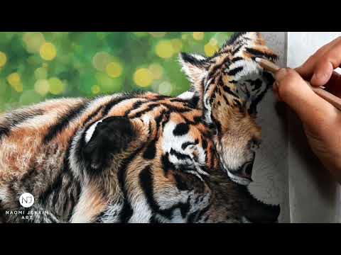 Realistic tiger drawing video by Naomi Jenkin Art