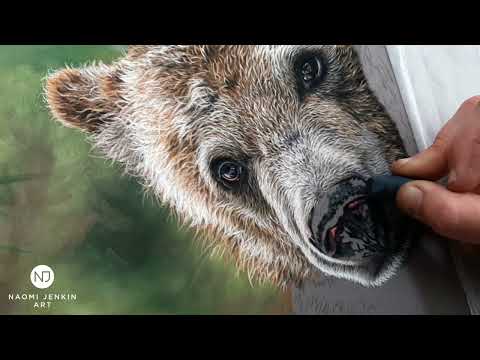 Realistic grizzly bear drawing video by Naomi Jenkin Art