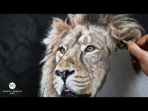 Process video of the 'Watchful Eyes' lion drawing by Naomi Jenkin